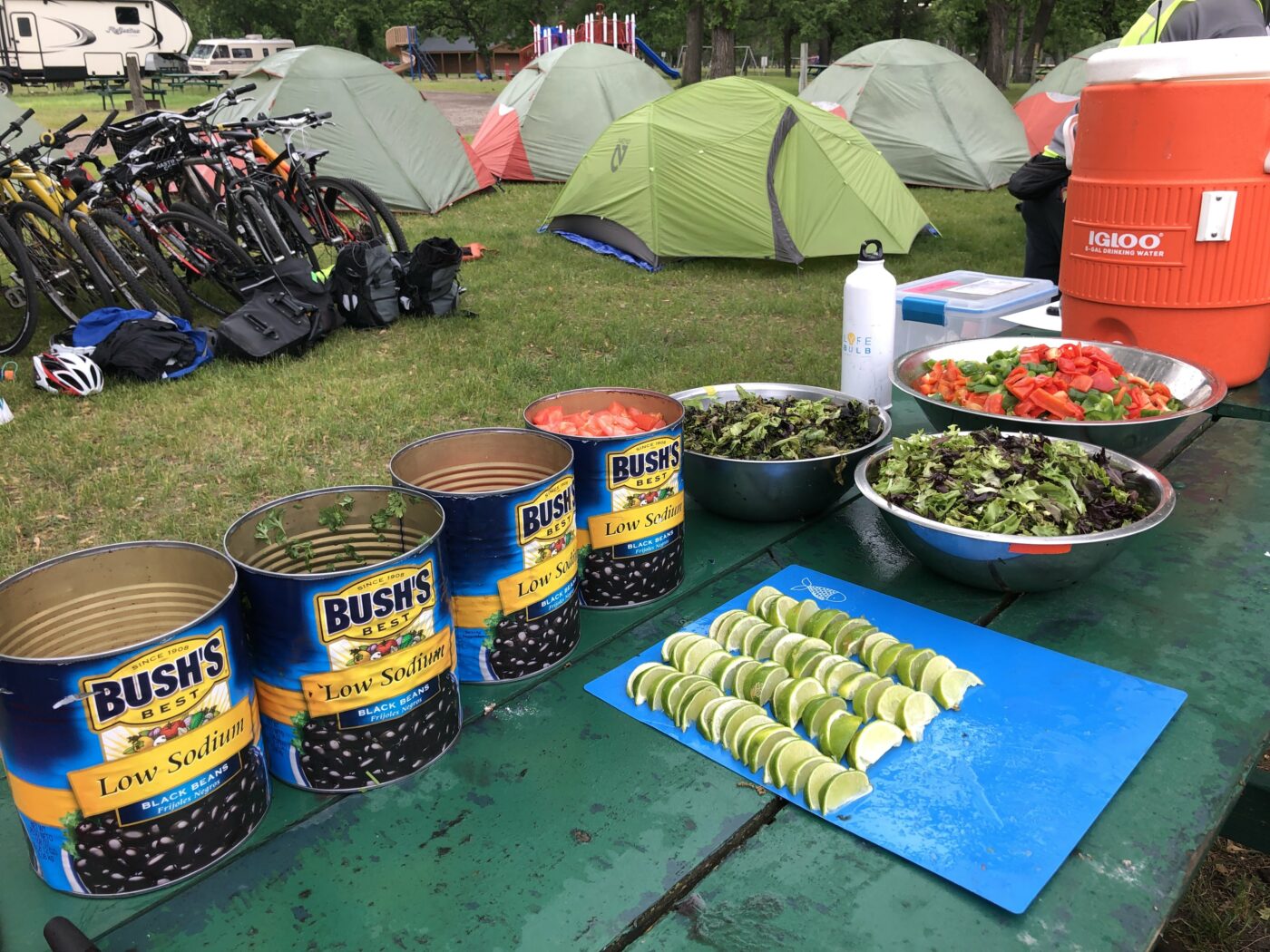 Food set out on a picnic table in front of a line of bicycles and a handful of tents